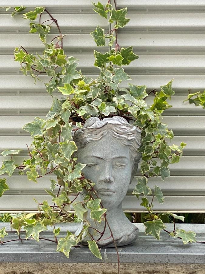 Maison Piccola Corte ピアーノ・ディ・ソッレント エクステリア 写真